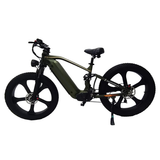 PE900 Electric bike for adults