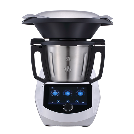 GORGENOX P40, multifunction cooking appliance with colour screen