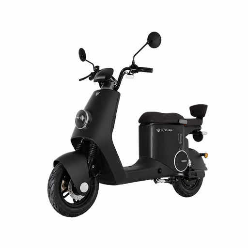 LUYUAN ZQQ2 Electric Moped for Adults