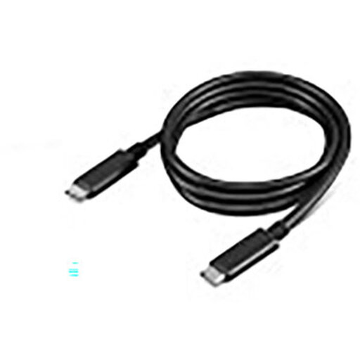 Lenovo 4X90U90619 USB Cable USB 3.2 Gen 2