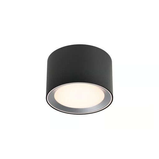 Plafonnier intelligent LANDON SMART pour salle de bain