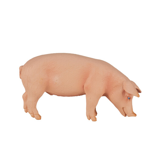 MOJO Pig