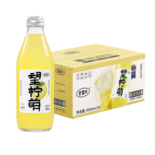 Hope water Wanglemon lemon juice sparkling water 300ml x 24