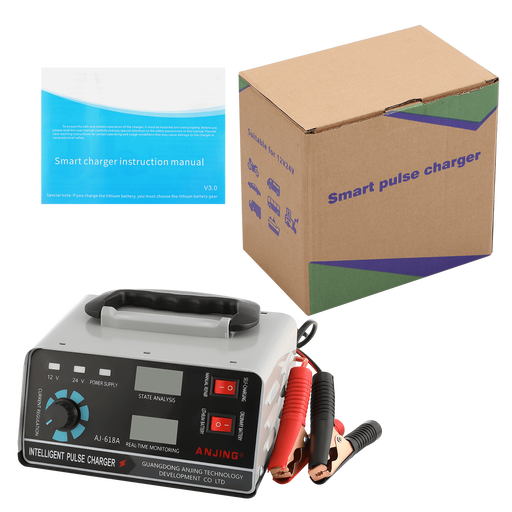 Professional 12V/24V Car Battery Charger