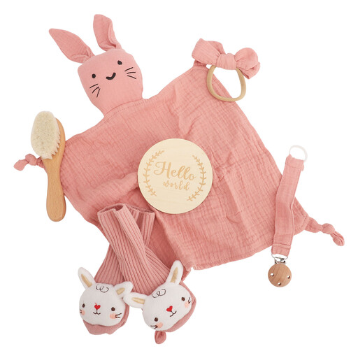 Newborn gift set with bib and accessories