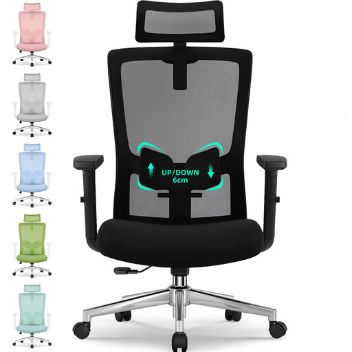 GTIMEX Ergonomic Office Chair with Adjustable Lumbar Support