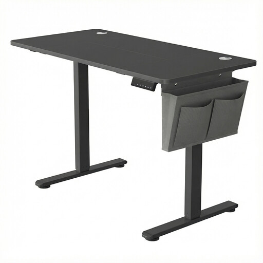 Ochama x SONGMICS Electric Standing Desk