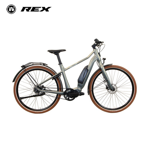 Rex Commuter S City & Trekking E-Bike