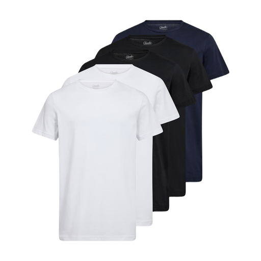 Claudio 5-pack t-shirt cotton Mehrfarbig L
