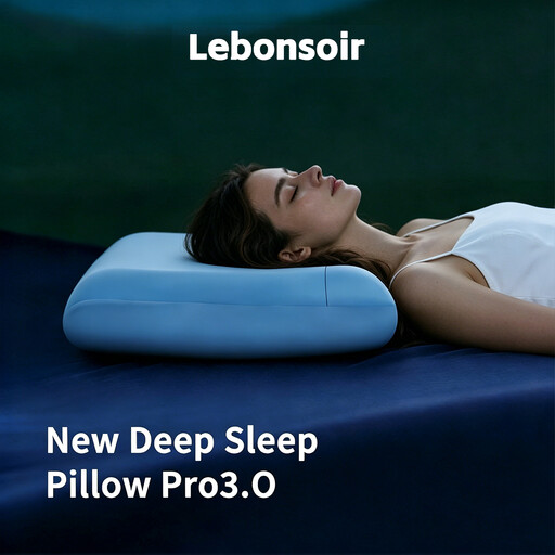 Lebonsoir Ergonomic Neck Support Pillow 3.0