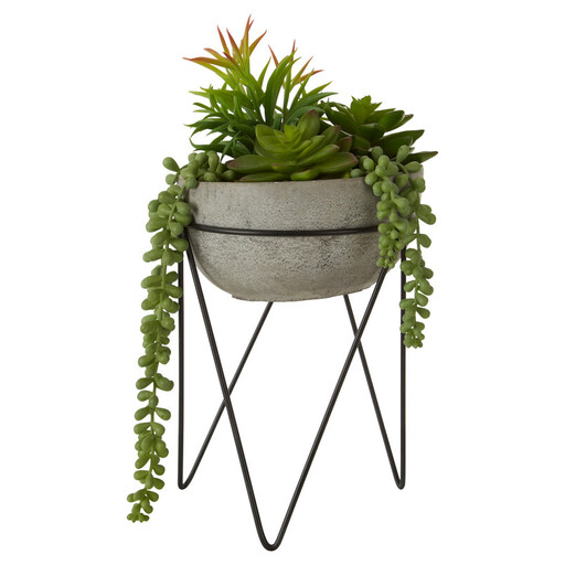 Fiori mixed succulent with metal stand