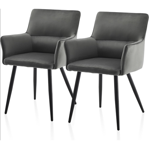 CLIPOP Leisure Dining Chairs Set of 2 in Grey