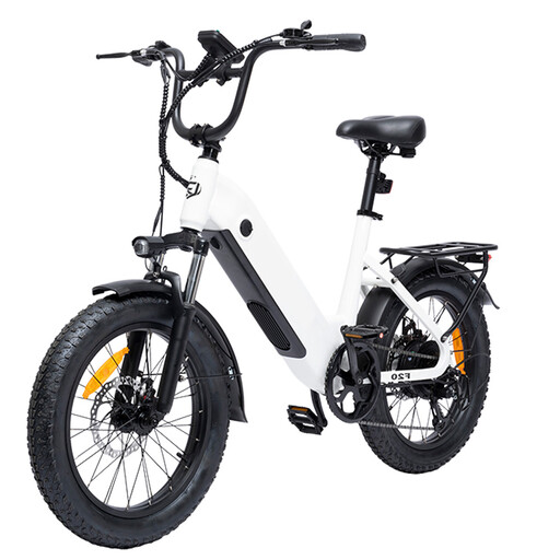 F20 Electric Bike for Adults, 250 W Motor, 48 V 15 Battery, 20-inch Tyres, All-terrain Electric Bike F20 white