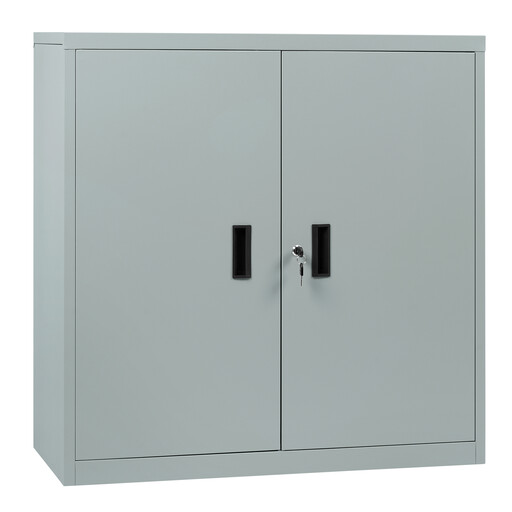 Woltu Office Cabinet, Metal Office Cabinet