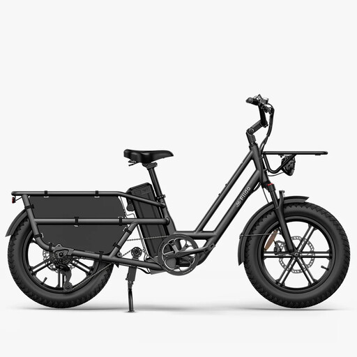 Fiido T2 (2025) All-Terrain Cargo E-Bike grau