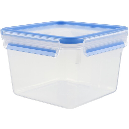 Tefal Masterseal Fresh Lunchbox
