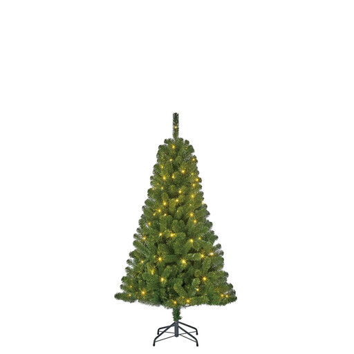 Charlton LED Green Christmas Tree 280L TIPS 525 - H185 x D115 cm
