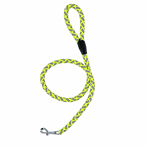 Luminous Dog Leash