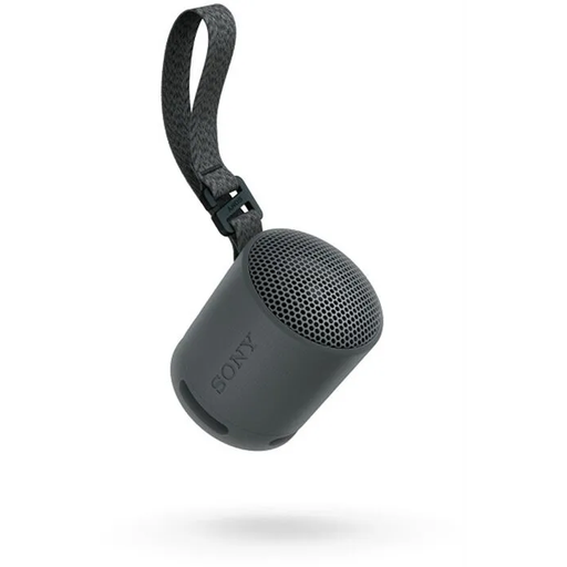 Sony SRS-XB100