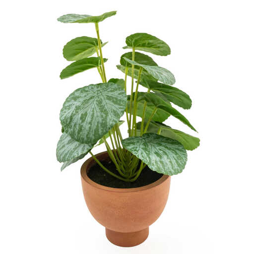 Candlelight Artificial Money Plant in Terracotta Effect Pot