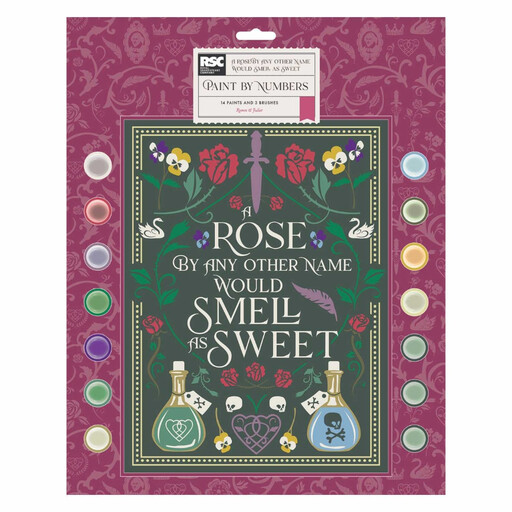 RSC Romeo & Julie Paint By Numbers Kit