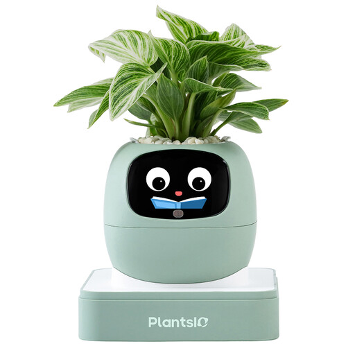 Ivy AI Smart Plant Pot Robot (Mint Green)