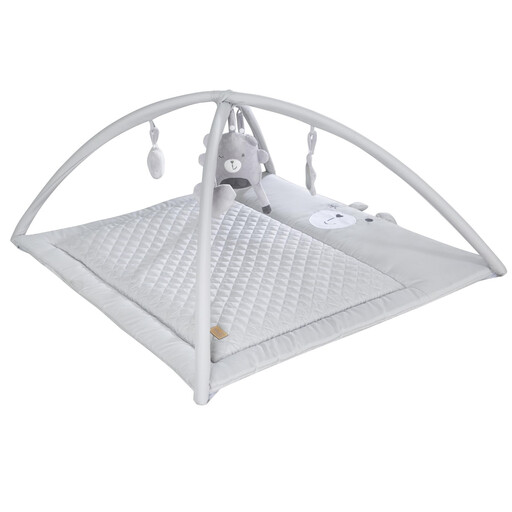 roba activity gym with play arch