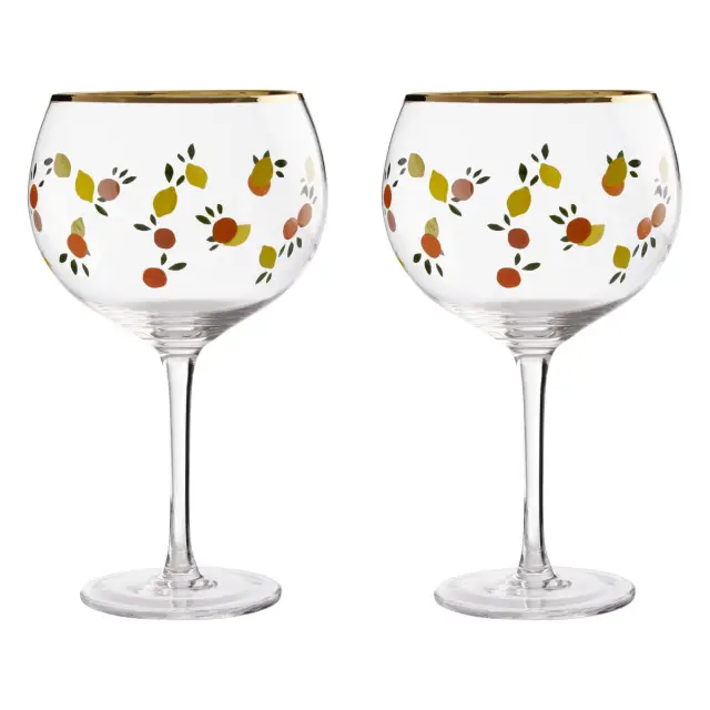 Mila Set Of 2 Citrus Design Gin Glasses