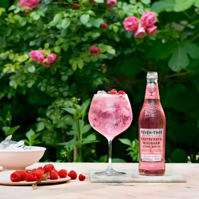 Fever-Tree Rhubarb & Raspberry Tonic Water 500ml