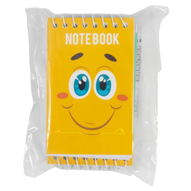ONE FOR FUN SPIRAL NOTEBOOKS 6PK