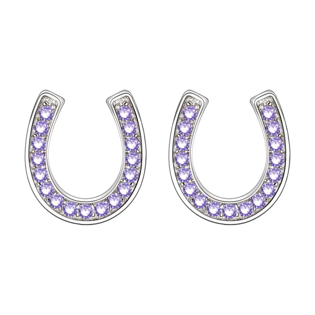 Ever Faith 925 Sterling Silver Horseshoe Stud Earrings, CZ Lucky Horseshoe Earrings Jewellery Gifts for Women Girls
