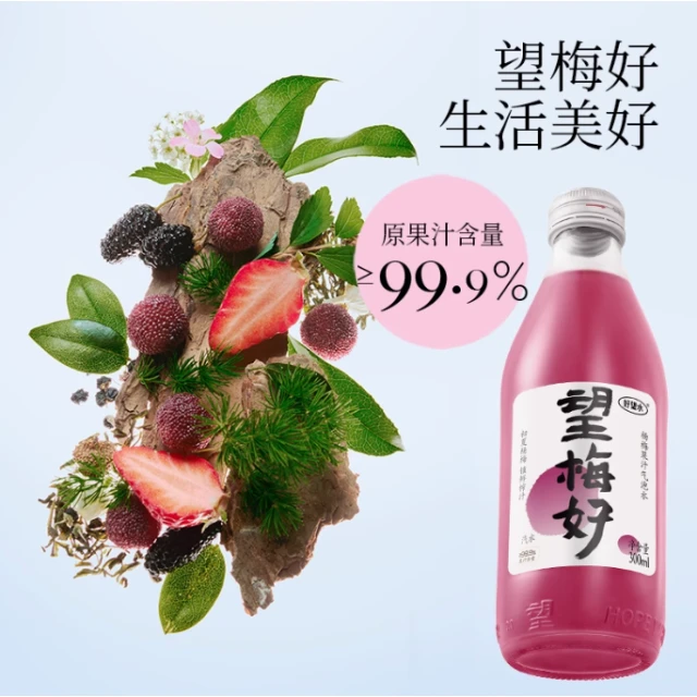 HOPE WATER Bayberry flavour Sparkling Water 300ml 望梅好杨梅果汁气泡水300ml