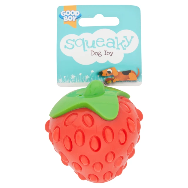 Good Boy Squeaky Fruit Dog Toy