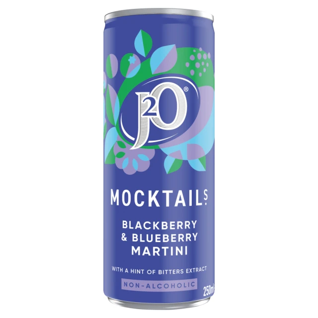J2O Mocktail Blackberry & Blueberry Martini 250Ml