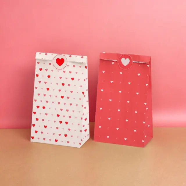 MIKIREI Party Bags, Set of 6 in 2 Different Designs with Stickers
