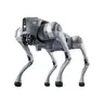 Quadrupedal Robot