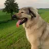 B***n